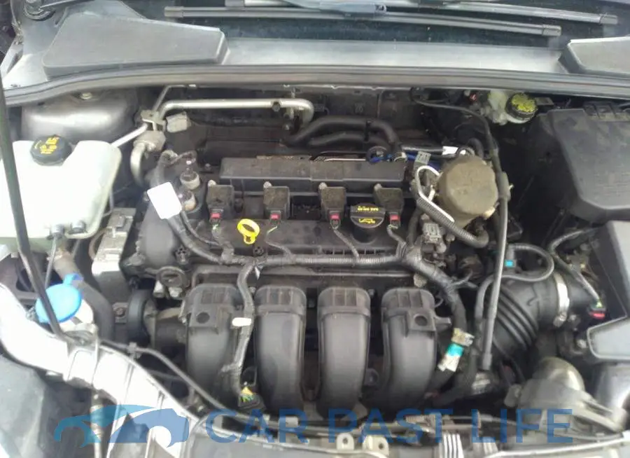 1FADP3F25EL202173# 10