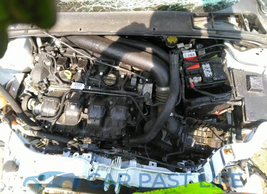 1FADP3L98HL320529# 10