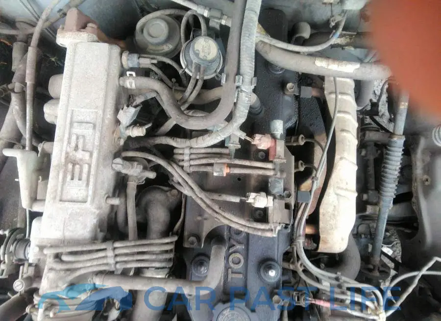 4TARN81A4PZ084890# 10