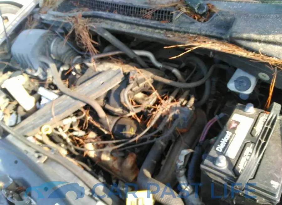 2A8HR54P68R831963# 10