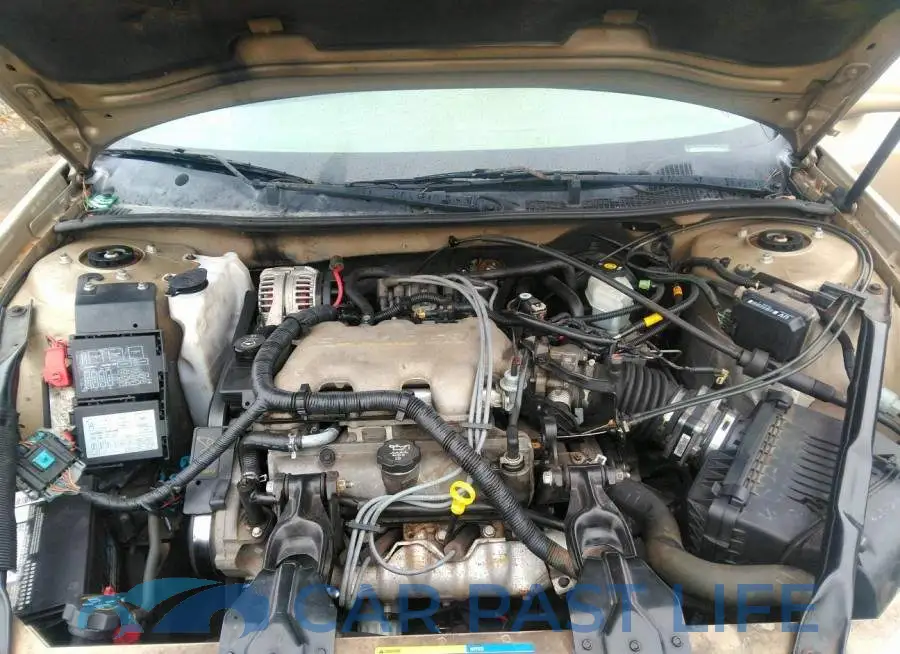 2G1WF52E659134726# 10