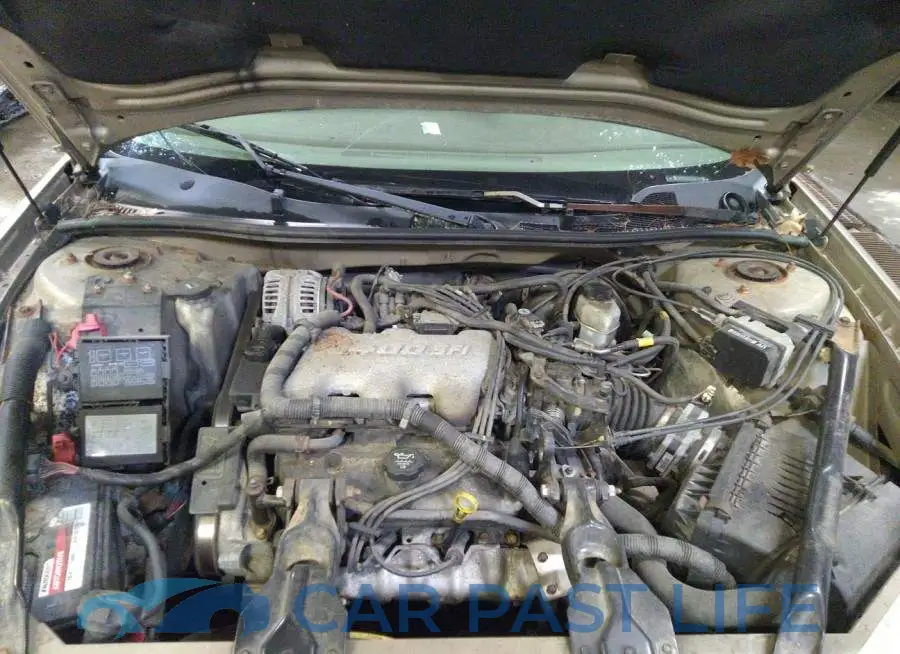 2G1WF52E449320568# 10