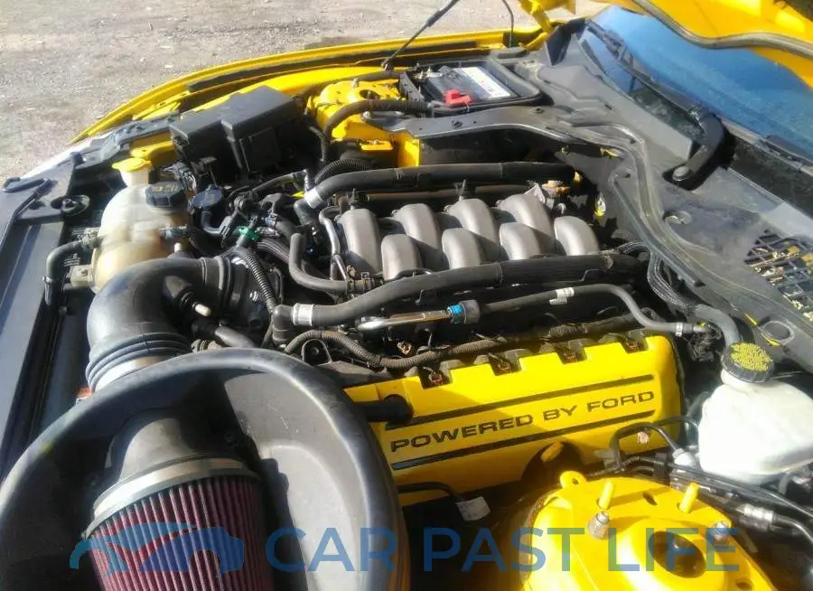 1FA6P8CF8G5251954# 10
