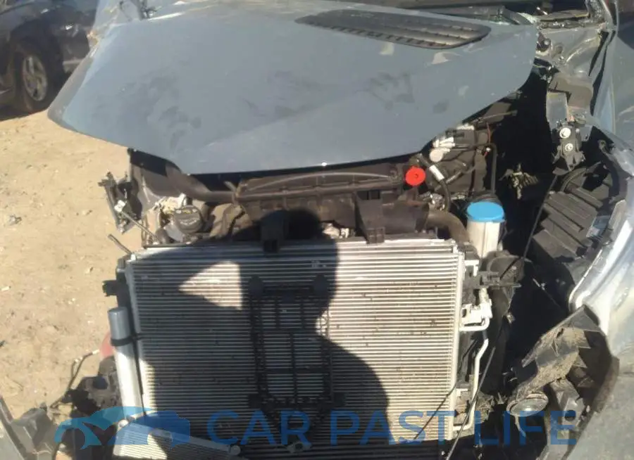 WD4PF1CD4KP131465# 10