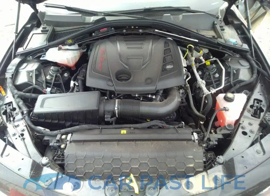ZARFAMAN4L7638746# 10