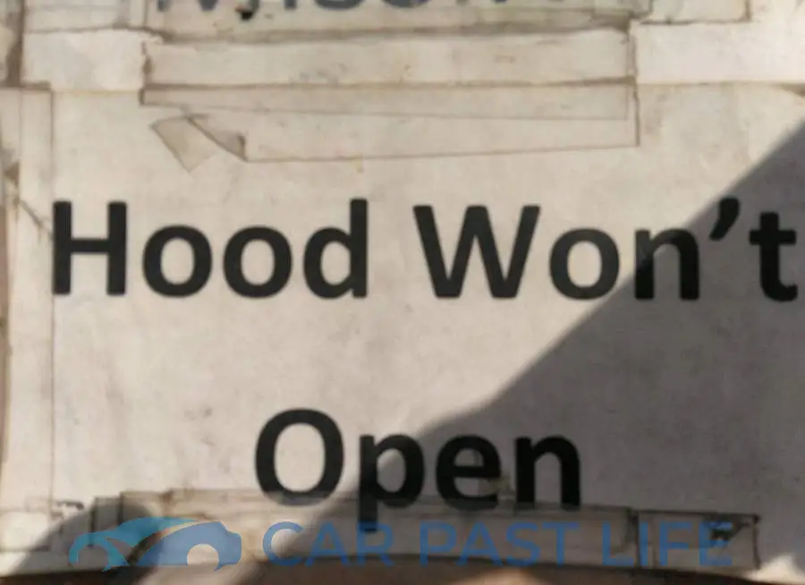 2C3CDXGJ9MH511303# 10