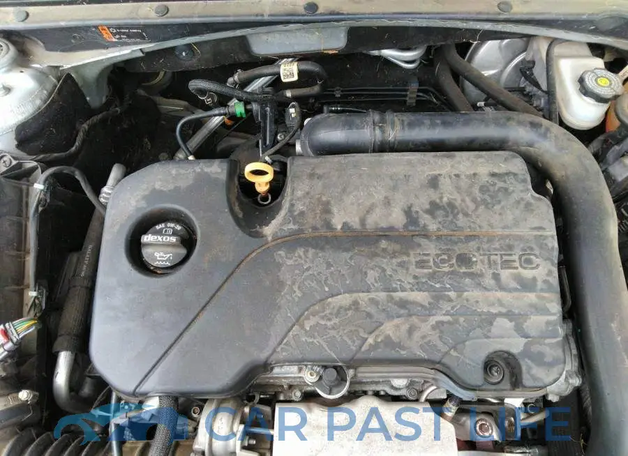 1G1ZB5ST6JF181196# 10