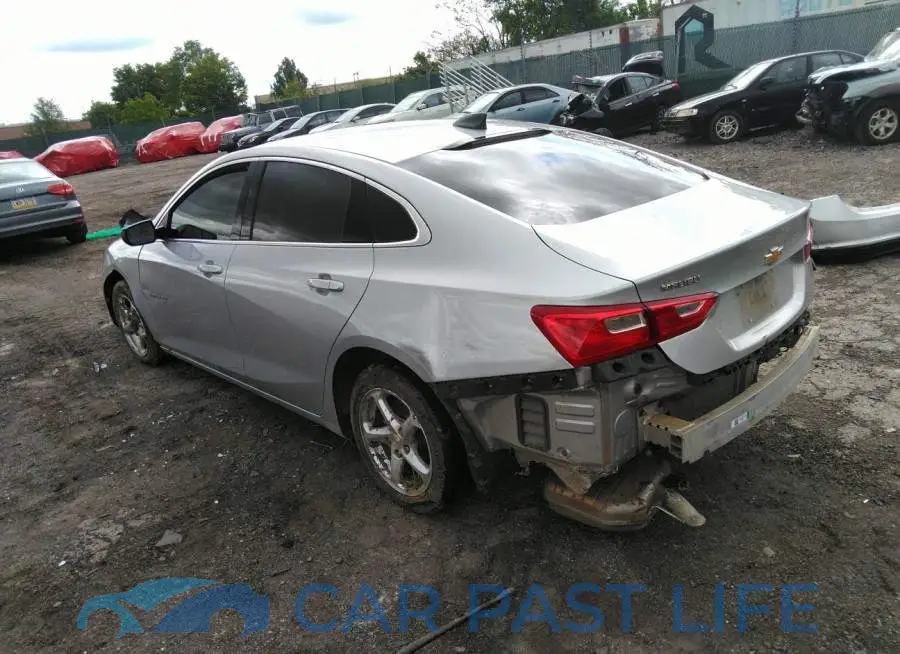 1G1ZB5ST6JF181196# 3