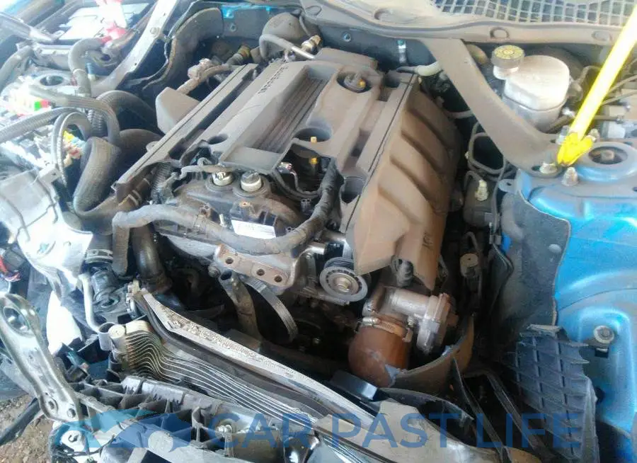 1FATP8UH2K5182030# 10