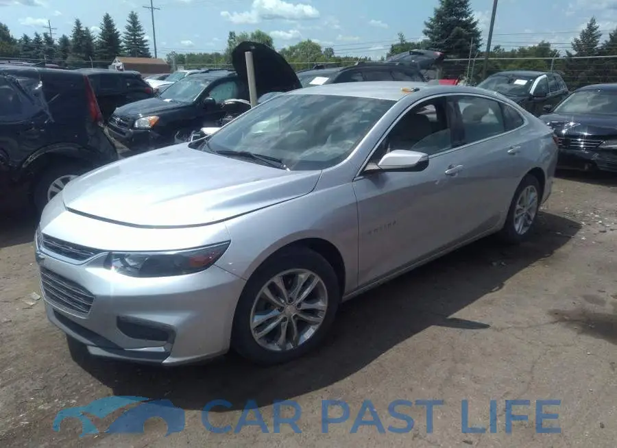 1G1ZD5ST3JF114856# 2