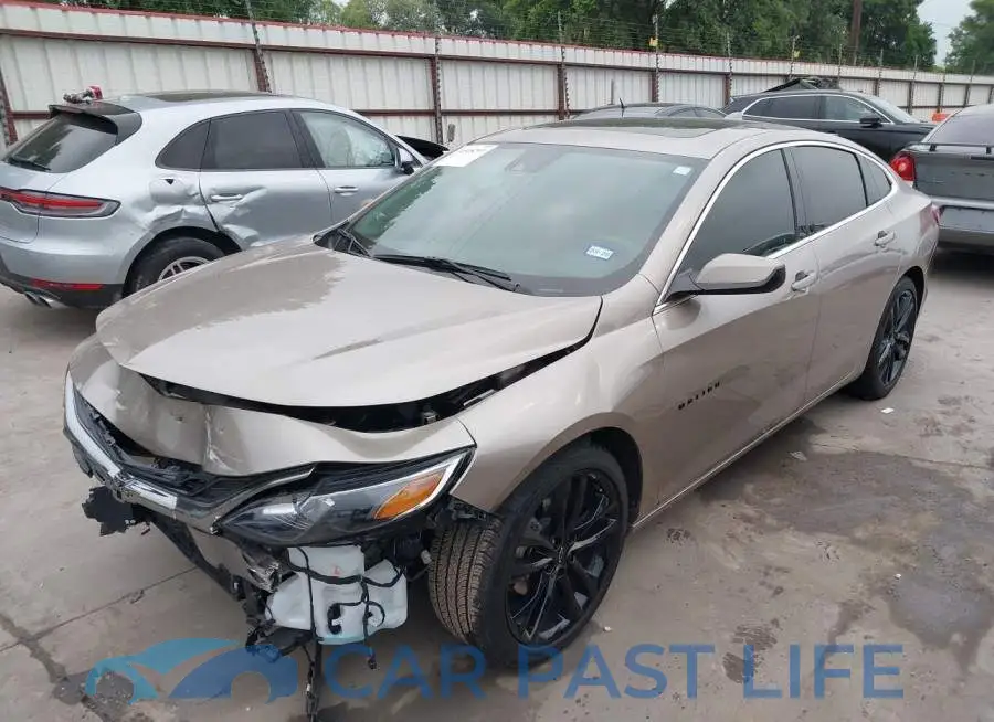 1G1ZD5ST6PF154647# 2