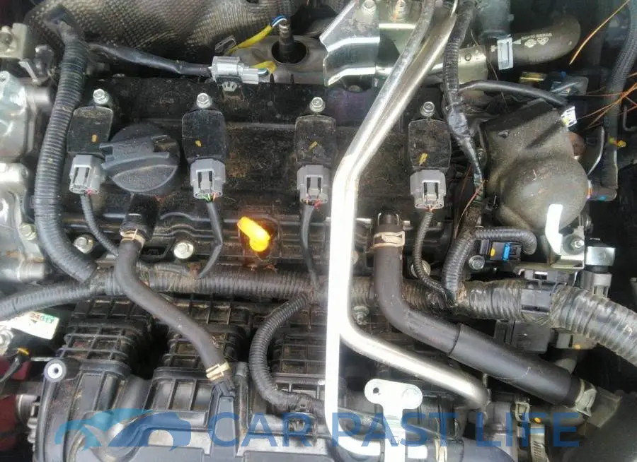5N1AT3BA5MC785067# 10
