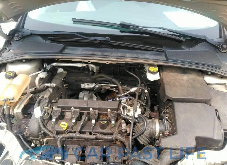 1FADP3F2XJL300271# 10