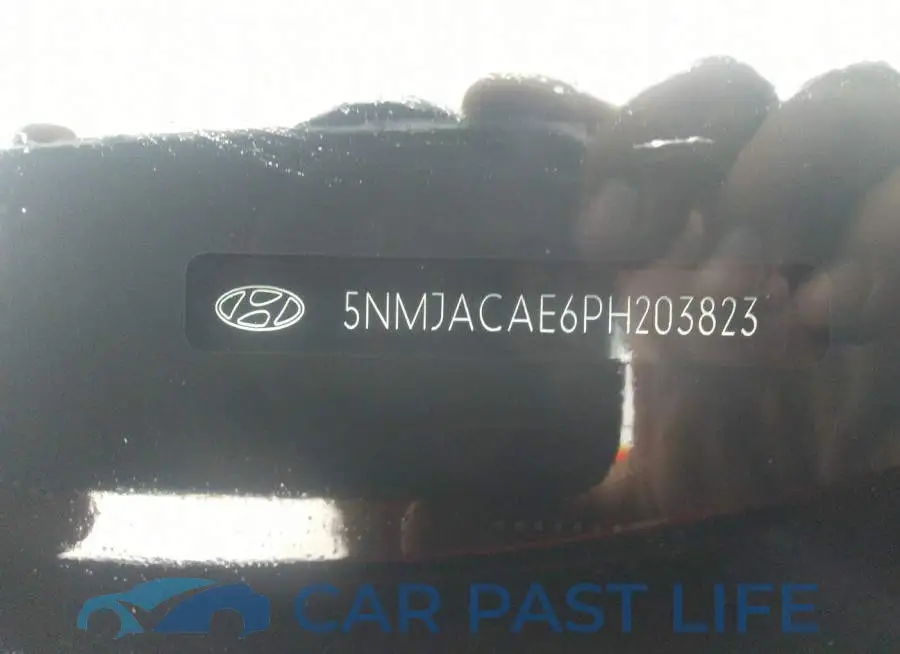 5NMJACAE6PH203823# 9
