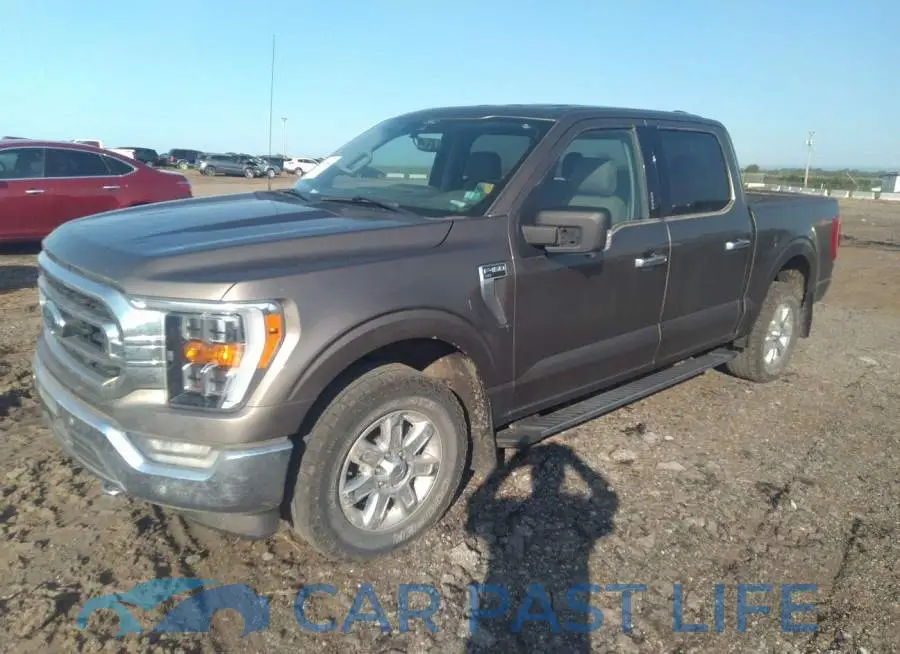 1FTFW1E86MKD55939# 2
