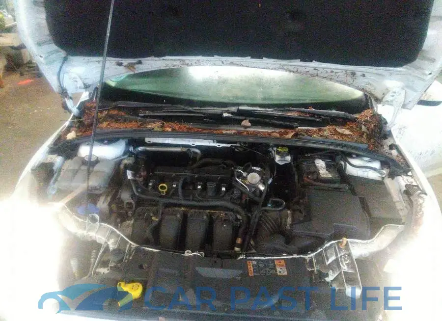1FADP3K2XJL316007# 10