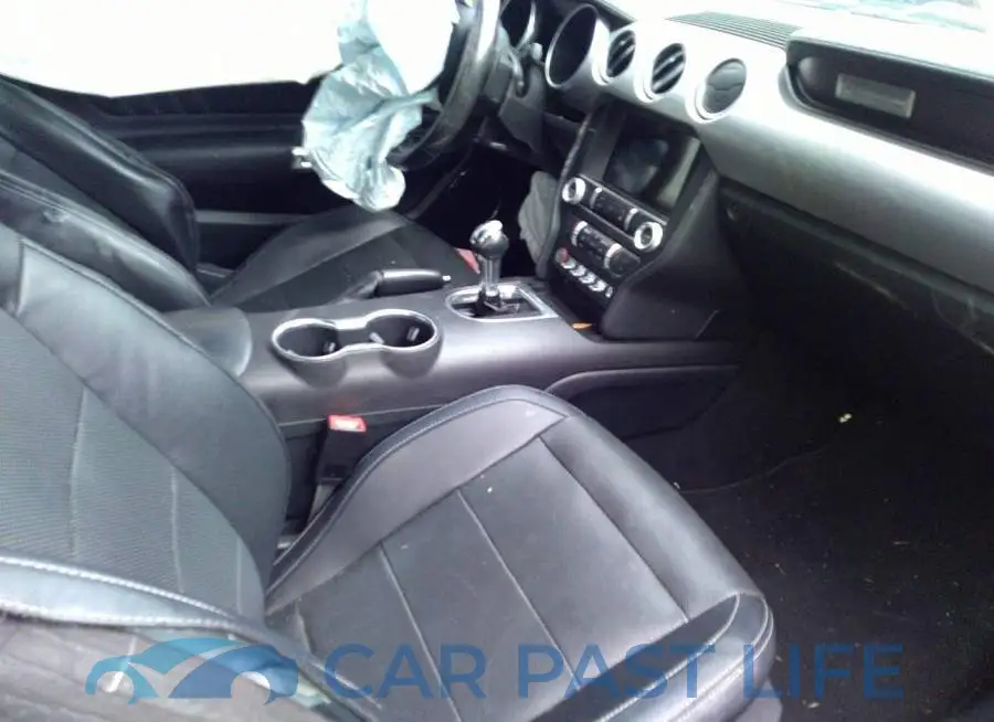1FA6P8TH3K5204261# 5