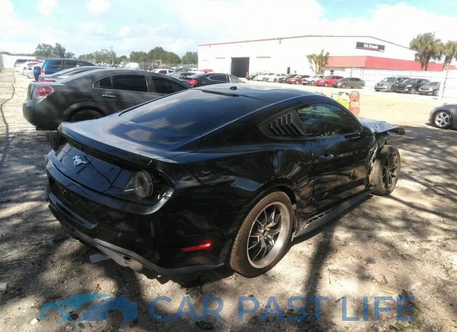 1FA6P8TH8K5197551# 4