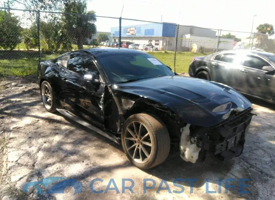 1FA6P8TH8K5197551# 1