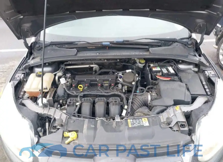 1FADP3F29EL345076# 10