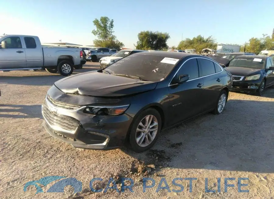 1G1ZD5ST0JF168163# 2