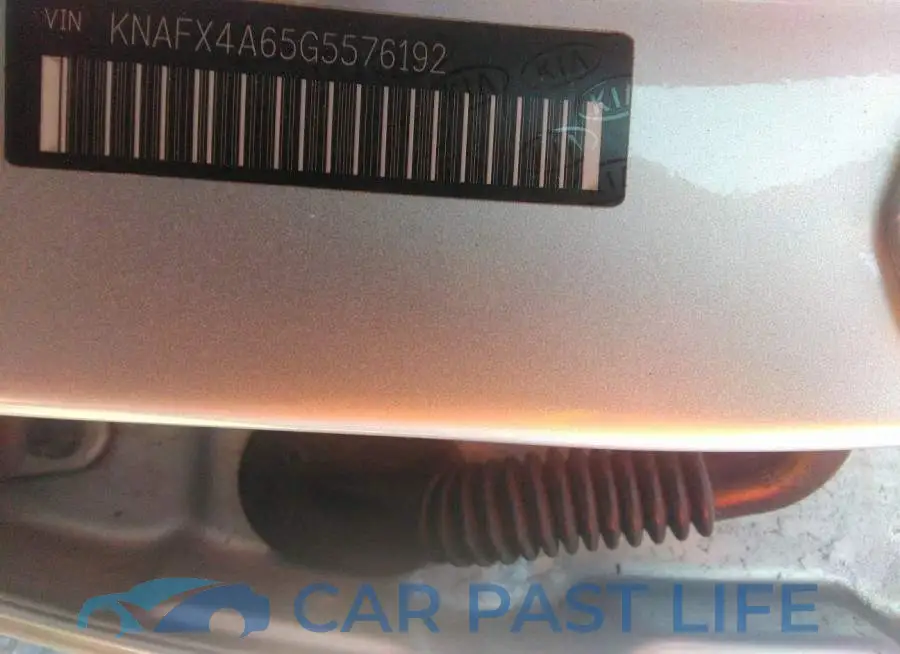 KNAFX4A65G5576192# 9