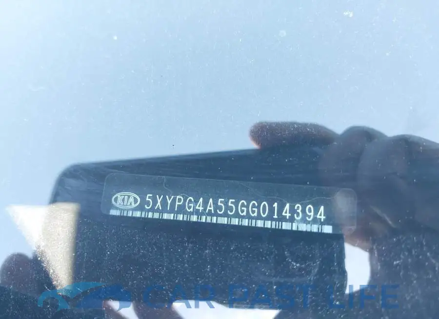 5XYPG4A55GG014394# 9
