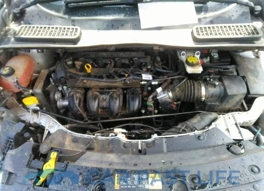 1FMCU0F71JUA09740# 10