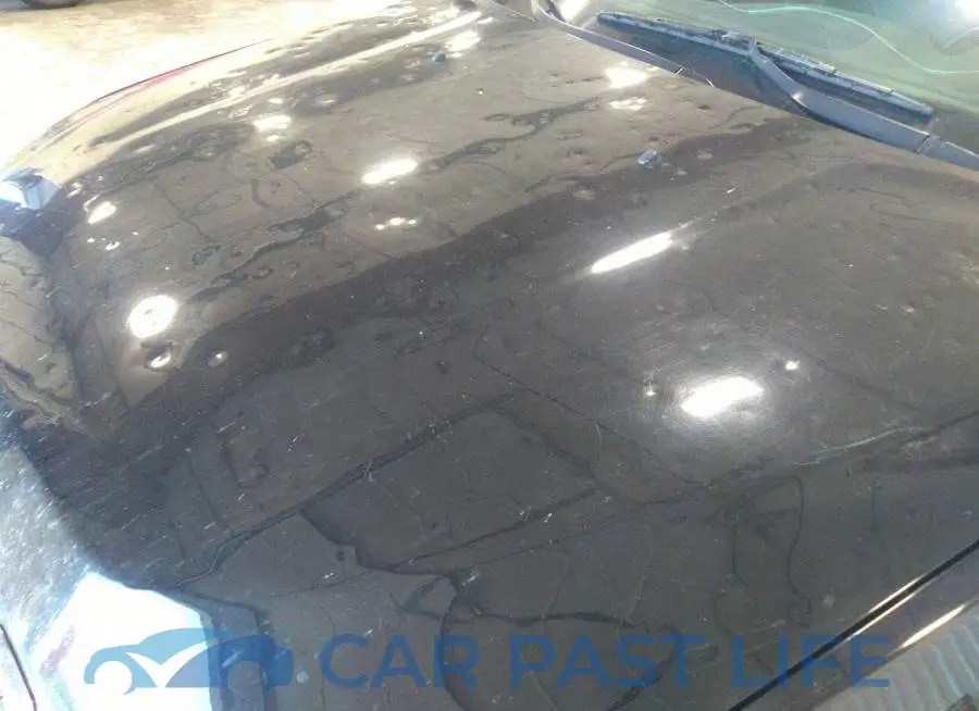 1C4PJMDX3KD374009# 6