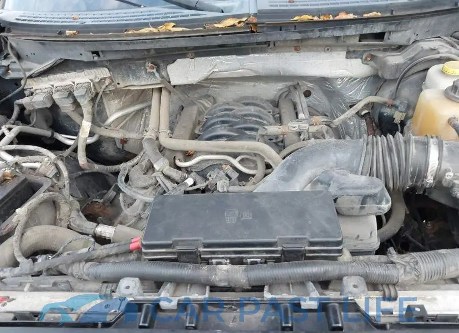 1FTFW1EF6EFB11331# 10