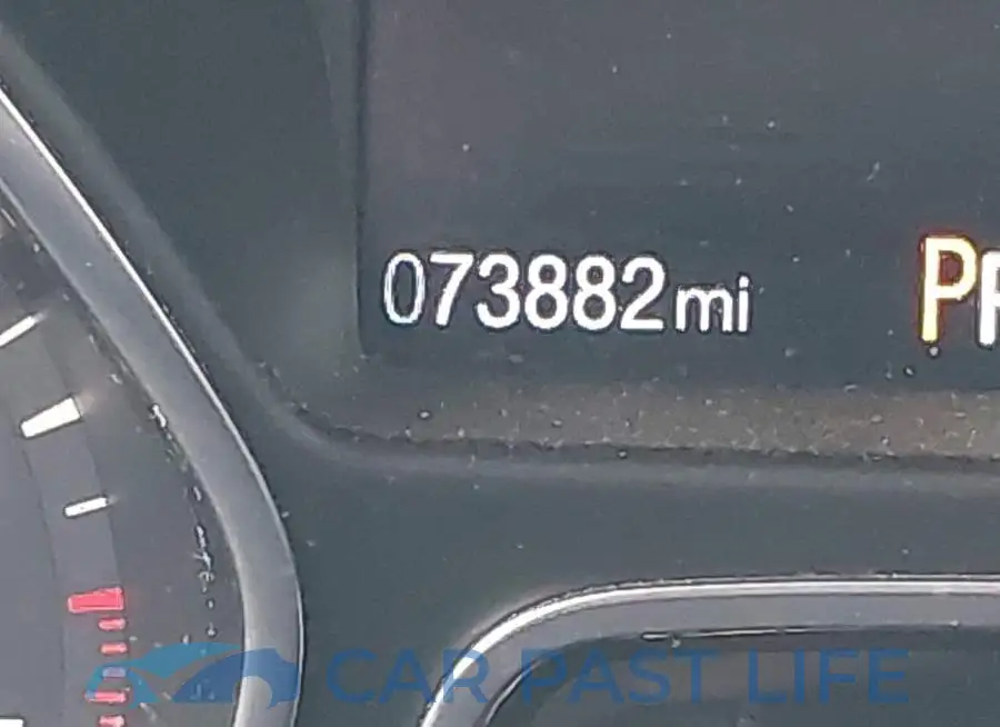 1FADP3F24HL340775# 7