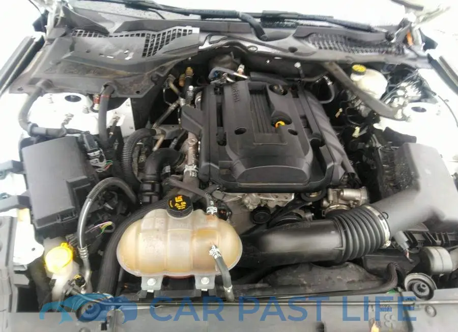 1FATP8UH4K5181834# 10