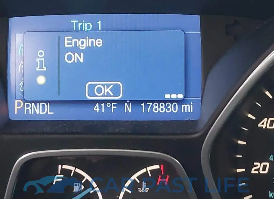 1FADP3F25DL301929# 7