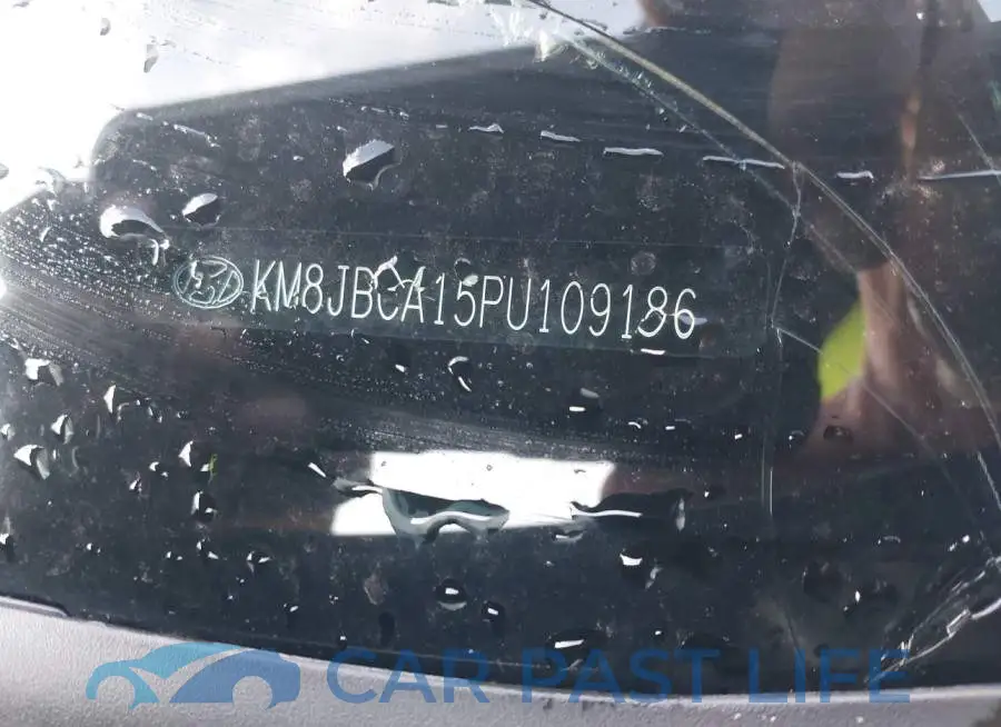 KM8JBCA15PU109186# 9