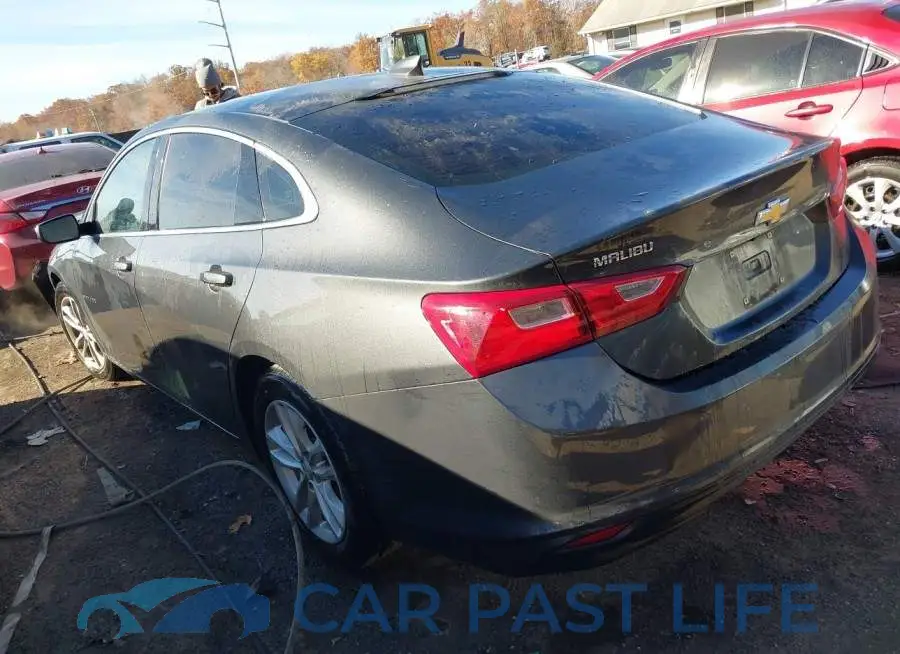 1G1ZD5ST4JF160843# 3