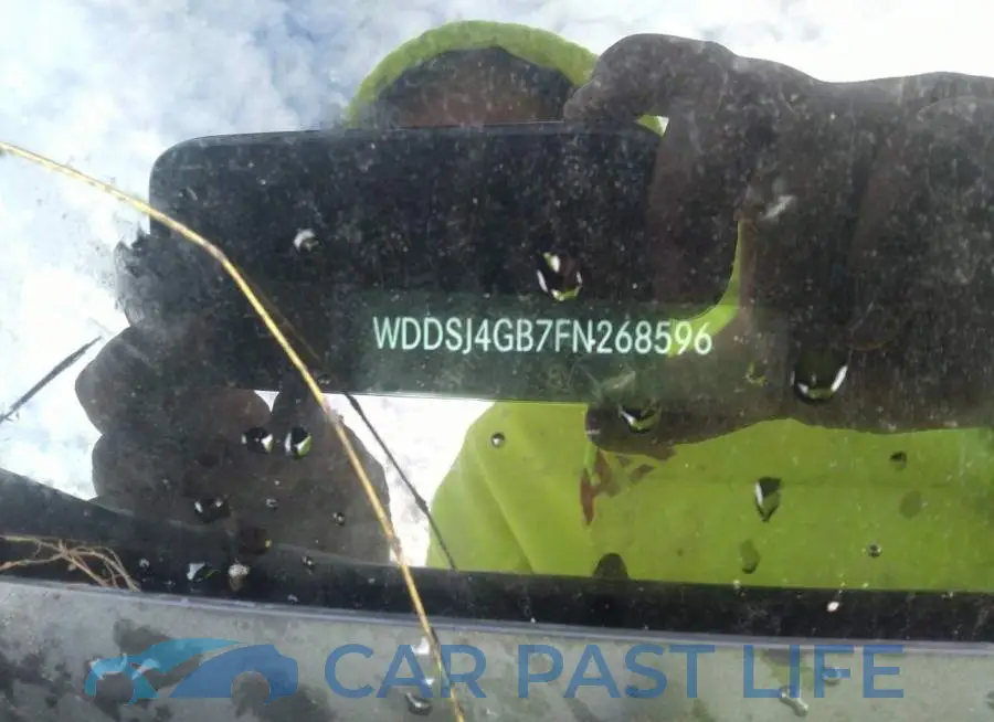 WDDSJ4GB7FN268596# 9