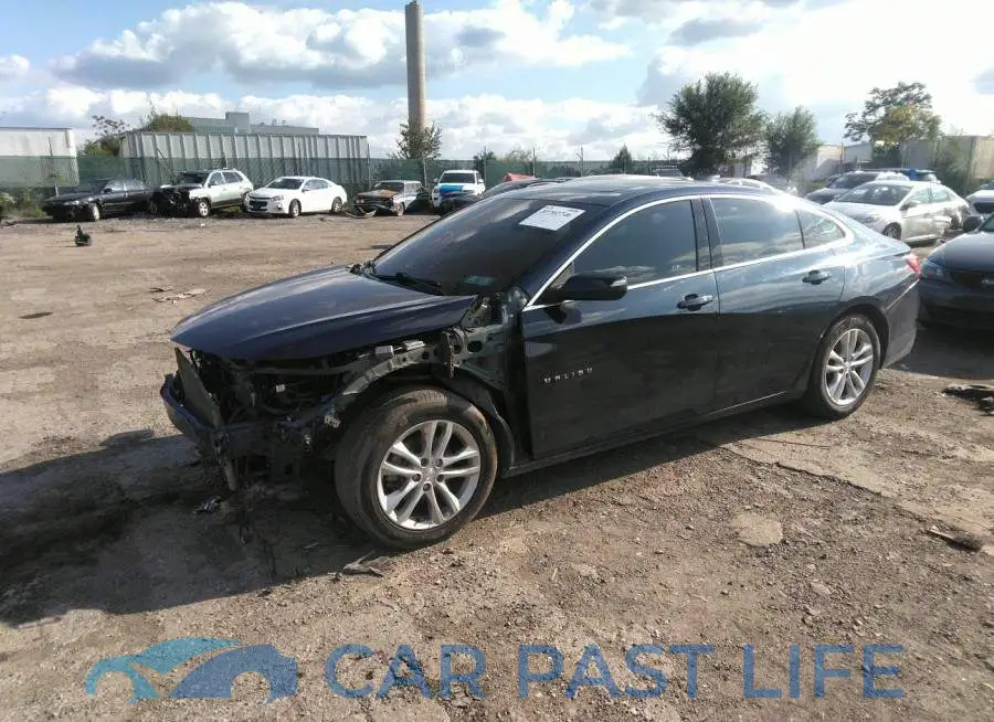 1G1ZD5ST7JF143891# 2
