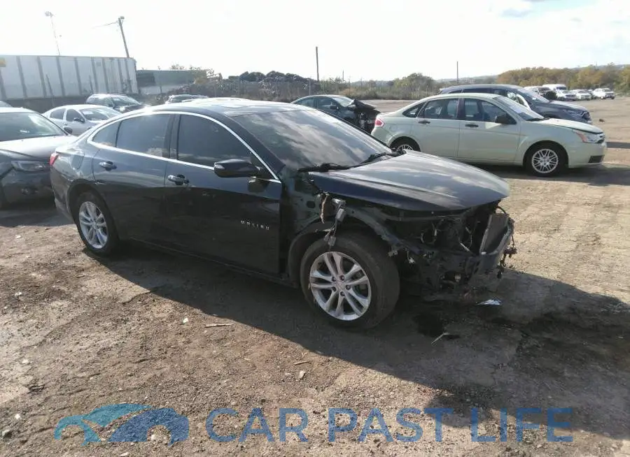 1G1ZD5ST7JF143891# 1