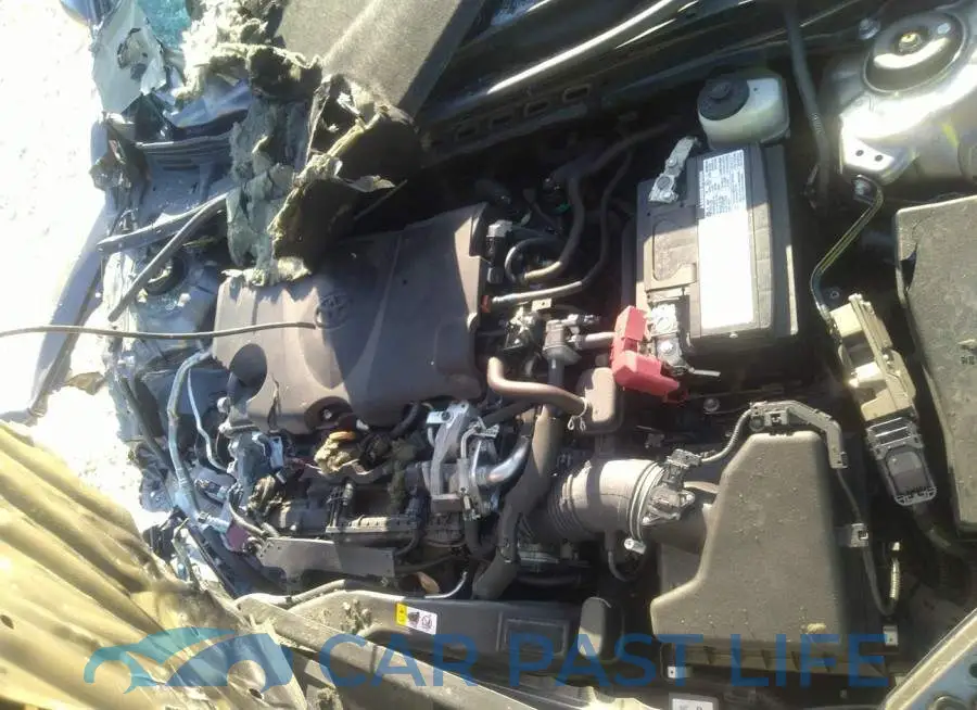 4T1C11AK4LU878443# 10