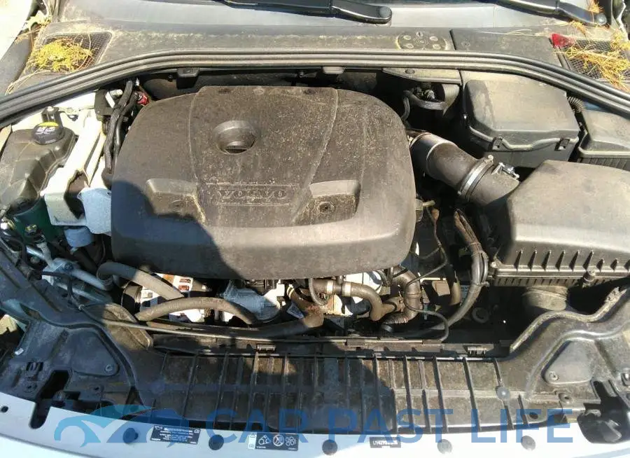 LYV402TK8HB128186# 10