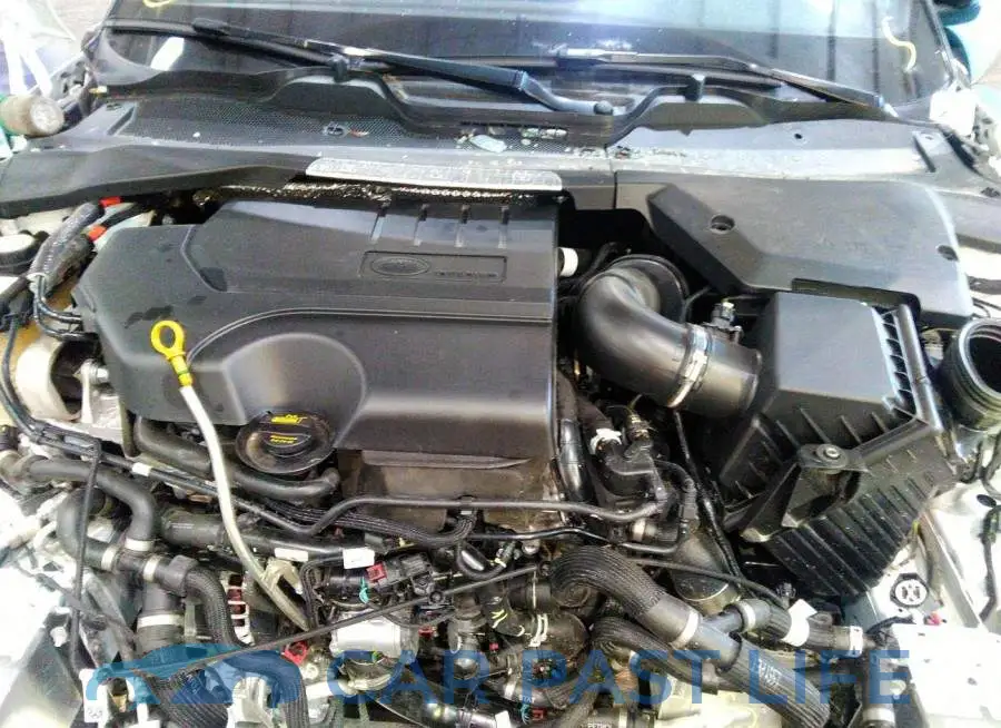 00LZP2FX2LH120707# 10