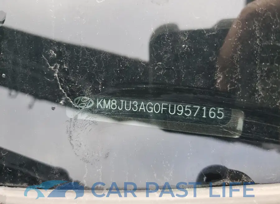 KM8JU3AG0FU957165# 13