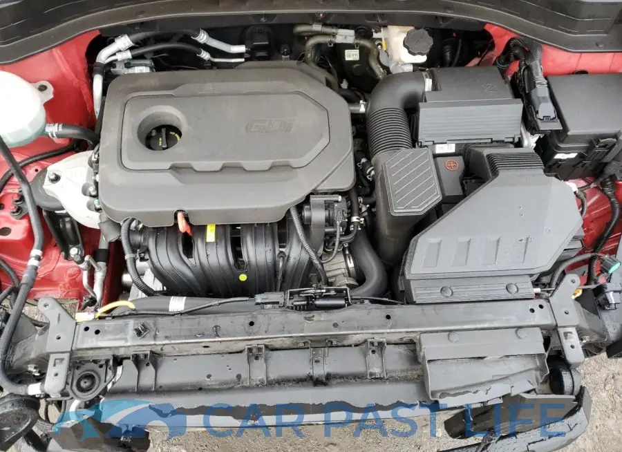KNDP6CAC3L7782488# 12