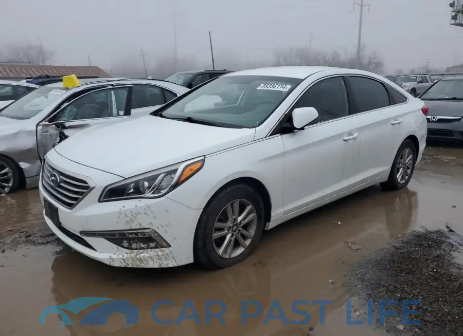 5NPE24AF4FH025585# 1