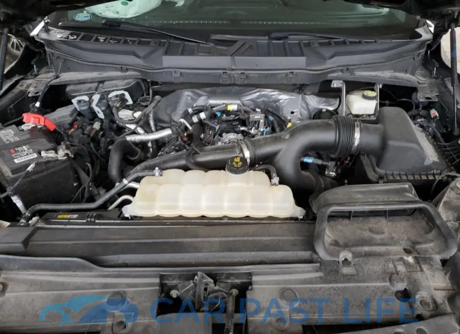 1FTEW1EP3MKD72782# 11