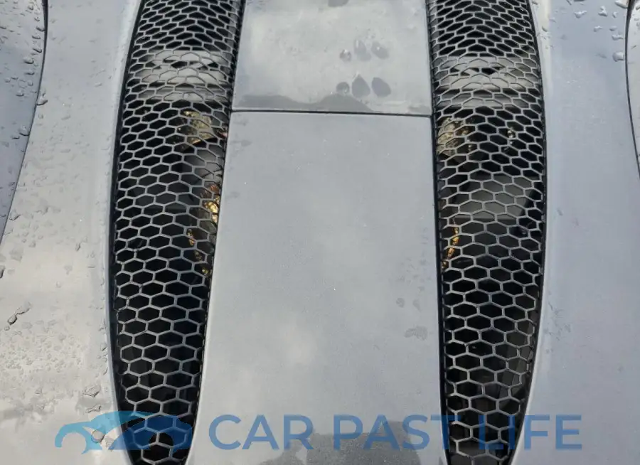 SBM13FAA6KW005653# 11