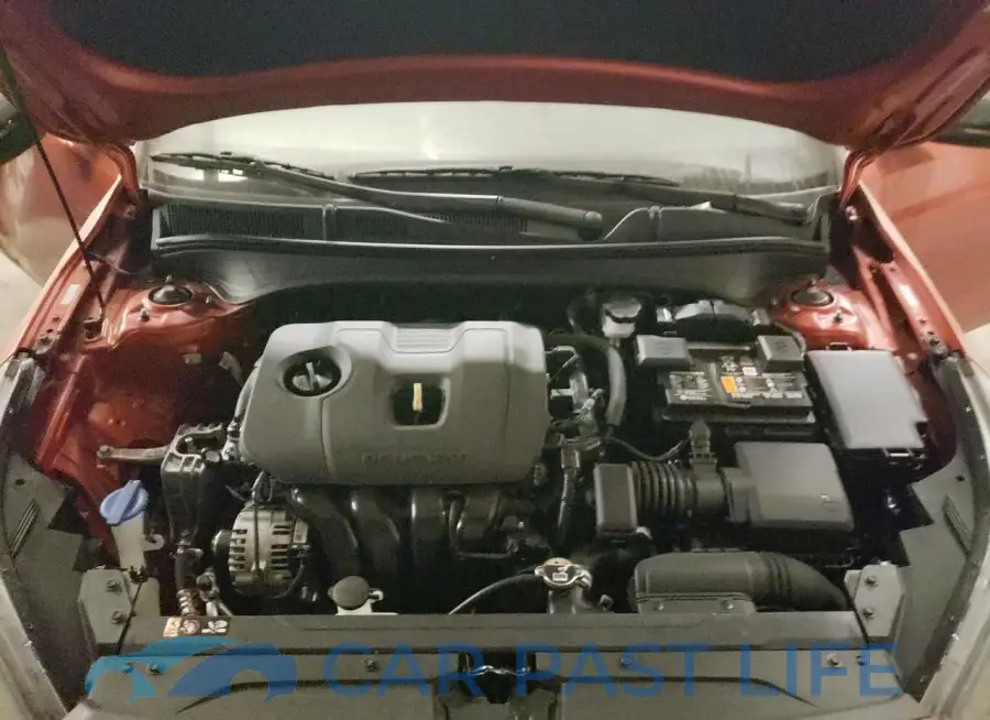 3KPF54AD6PE683991# 11