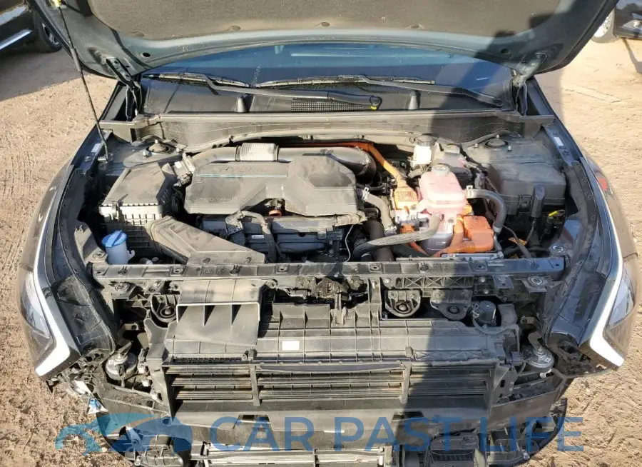 KNDPVCAG4P7013364# 12