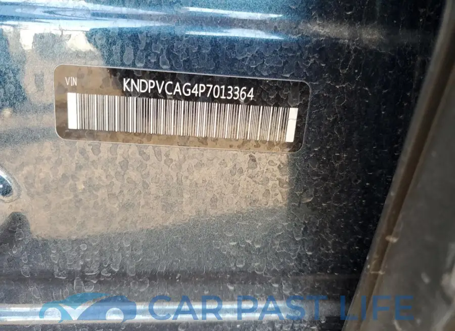 KNDPVCAG4P7013364# 13