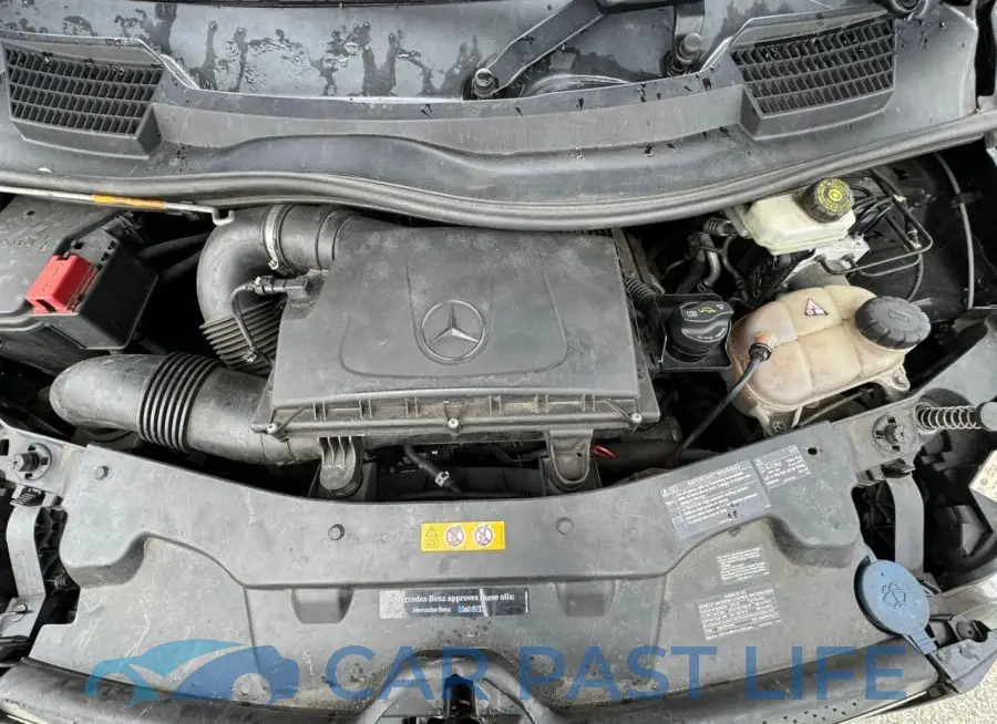 WD4PG2EE8K3543226# 7